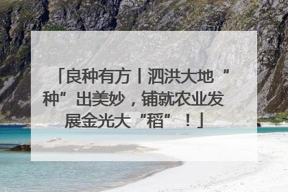 良种有方丨泗洪大地“种”出美妙，铺就农业发展金光大“稻”！