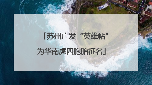 苏州广发“英雄帖”为华南虎四胞胎征名