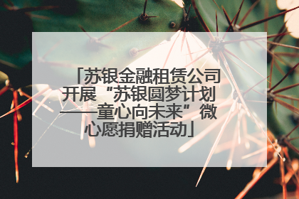 苏银金融租赁公司开展“苏银圆梦计划——童心向未来”微心愿捐赠活动