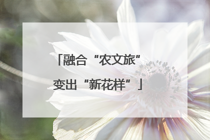 融合“农文旅” 变出“新花样”