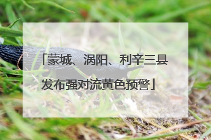 蒙城、涡阳、利辛三县发布强对流黄色预警