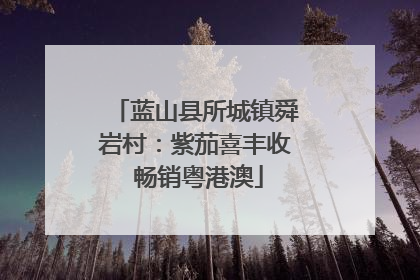 蓝山县所城镇舜岩村：紫茄喜丰收 畅销粤港澳