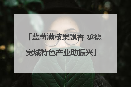 蓝莓满枝果飘香 承德宽城特色产业助振兴