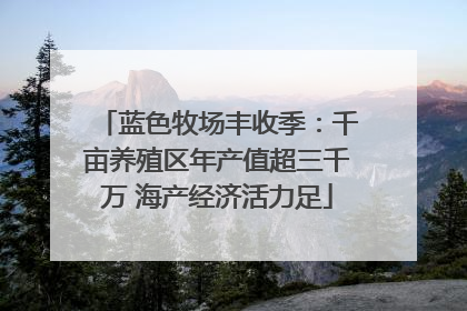 蓝色牧场丰收季：千亩养殖区年产值超三千万 海产经济活力足