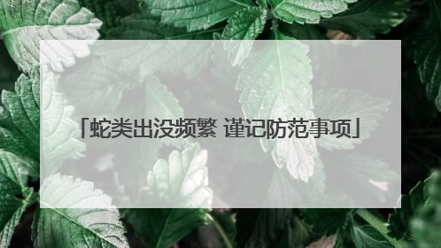 蛇类出没频繁 谨记防范事项