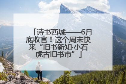 诗书西城——6月底收官！这个周末快来“旧书新知·小石虎古旧书市”