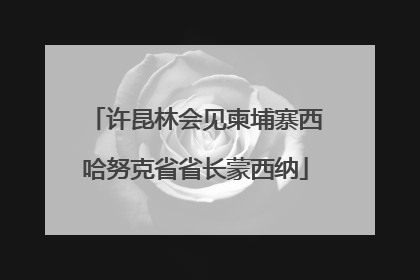 许昆林会见柬埔寨西哈努克省省长蒙西纳