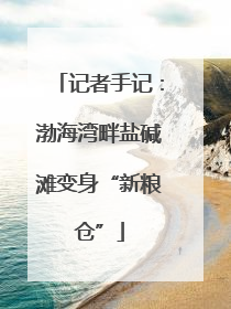 记者手记：渤海湾畔盐碱滩变身“新粮仓”