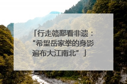 行走赣鄱看非遗：“希望岳家拳的身影遍布大江南北”