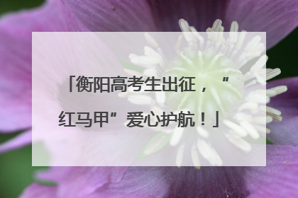 衡阳高考生出征，“红马甲”爱心护航！