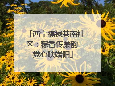 西宁福禄巷南社区：粽香传廉韵 党心映端阳