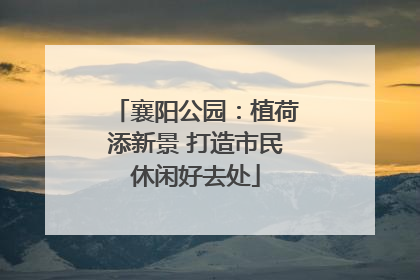 襄阳公园：植荷添新景 打造市民休闲好去处