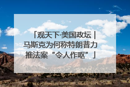 观天下·美国政坛｜马斯克为何称特朗普力推法案“令人作呕”