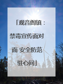 观音阁镇：禁毒宣传面对面 安全防范驻心间