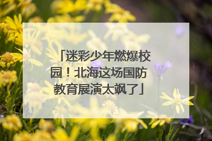 迷彩少年燃爆校园！北海这场国防教育展演太飒了