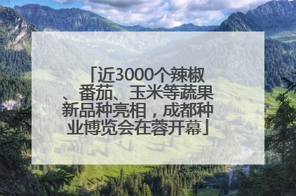 近3000个辣椒、番茄、玉米等蔬果新品种亮相，成都种业博览会在蓉开幕