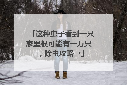 这种虫子看到一只家里很可能有一万只，除虫攻略→