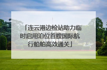 连云港边检站助力临时启用泊位首艘国际航行船舶高效通关
