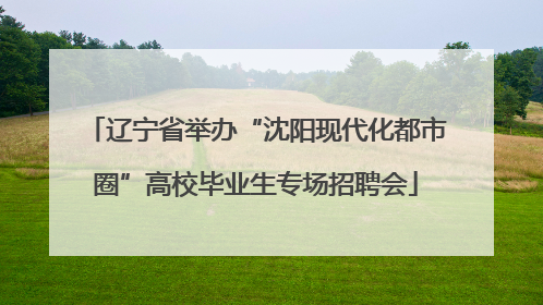 辽宁省举办“沈阳现代化都市圈”高校毕业生专场招聘会