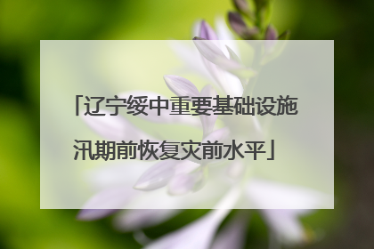 辽宁绥中重要基础设施汛期前恢复灾前水平