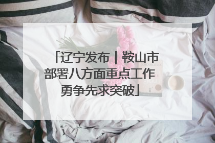 辽宁发布｜鞍山市部署八方面重点工作勇争先求突破