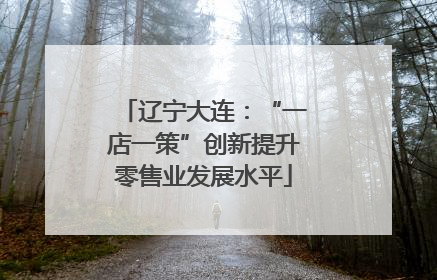 辽宁大连：“一店一策”创新提升零售业发展水平