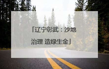 辽宁彰武：沙地治理 造绿生金