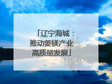 辽宁海城：推动菱镁产业高质量发展