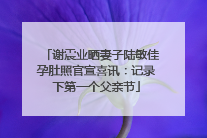 谢震业晒妻子陆敏佳孕肚照官宣喜讯：记录下第一个父亲节