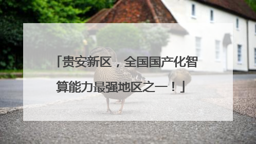 贵安新区，全国国产化智算能力最强地区之一！