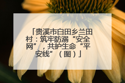 贵溪市白田乡兰田村：筑牢防溺“安全网”，共护生命“平安线”（图）
