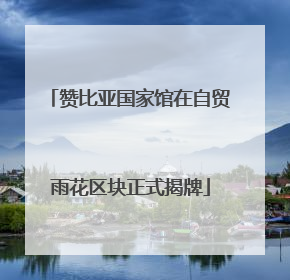 赞比亚国家馆在自贸雨花区块正式揭牌