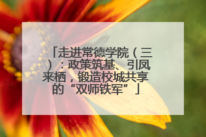 走进常德学院（三）：政策筑基、引凤来栖，锻造校城共享的“双师铁军”