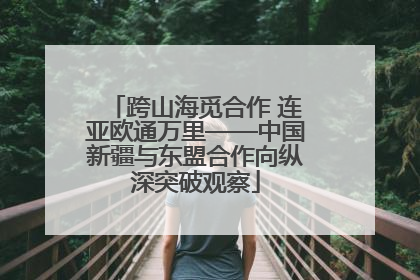 跨山海觅合作 连亚欧通万里——中国新疆与东盟合作向纵深突破观察
