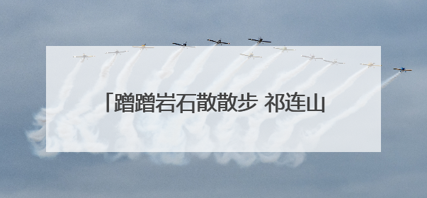 蹭蹭岩石散散步 祁连山拍到雪豹和豺撒欢画面