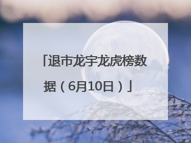 退市龙宇龙虎榜数据（6月10日）