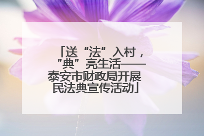送“法”入村，“典”亮生活——泰安市财政局开展民法典宣传活动