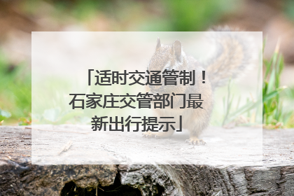 适时交通管制！石家庄交管部门最新出行提示