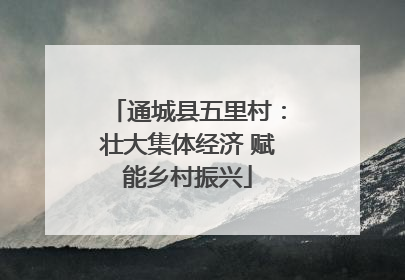 通城县五里村：壮大集体经济 赋能乡村振兴