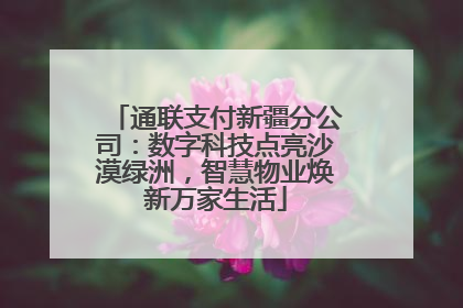 通联支付新疆分公司：数字科技点亮沙漠绿洲，智慧物业焕新万家生活