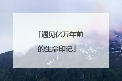 遇见亿万年前的生命印记