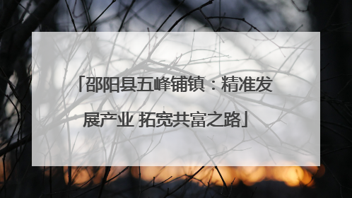 邵阳县五峰铺镇：精准发展产业 拓宽共富之路
