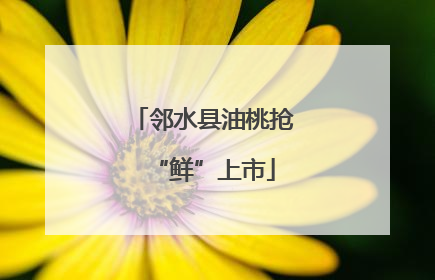 邻水县油桃抢“鲜”上市