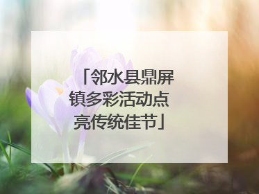邻水县鼎屏镇多彩活动点亮传统佳节