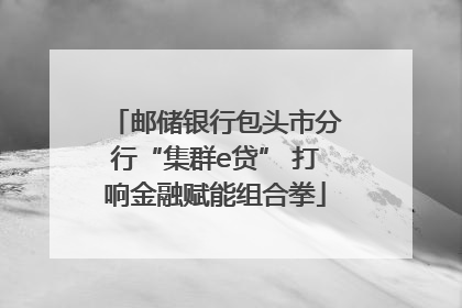 邮储银行包头市分行“集群e贷” 打响金融赋能组合拳