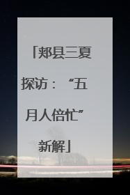郏县三夏探访：“五月人倍忙”新解