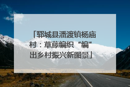 郓城县潘渡镇杨庙村：草藤编织“编”出乡村振兴新图景