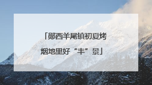 郧西羊尾镇初夏烤烟地里好“丰”景