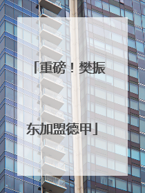 重磅！樊振东加盟德甲