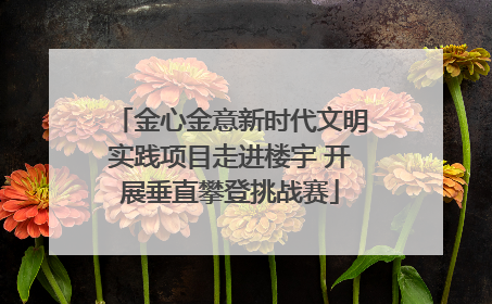 金心金意新时代文明实践项目走进楼宇 开展垂直攀登挑战赛